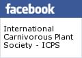 ICPS Facebook